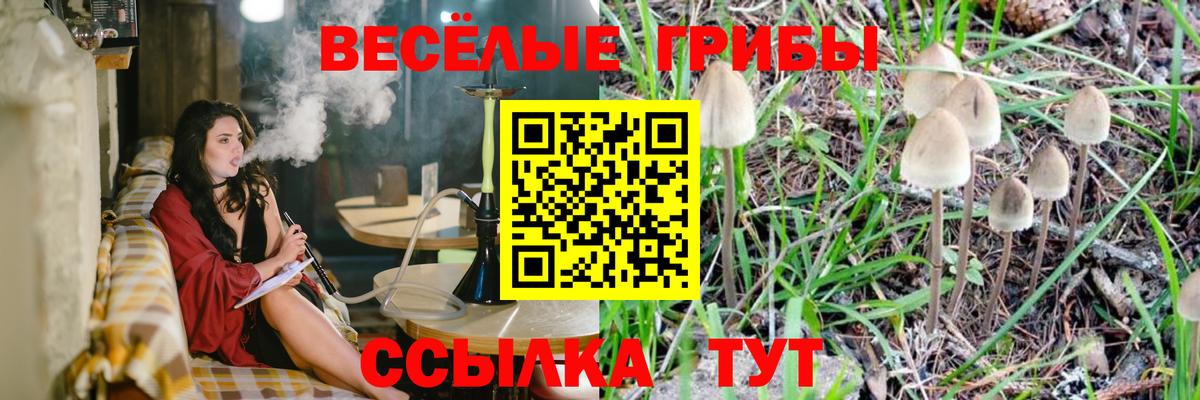 Галлюциногенные грибы Cubensis  Вход с VPN  Псилоцибиновые грибы Psilocybe  Надым 